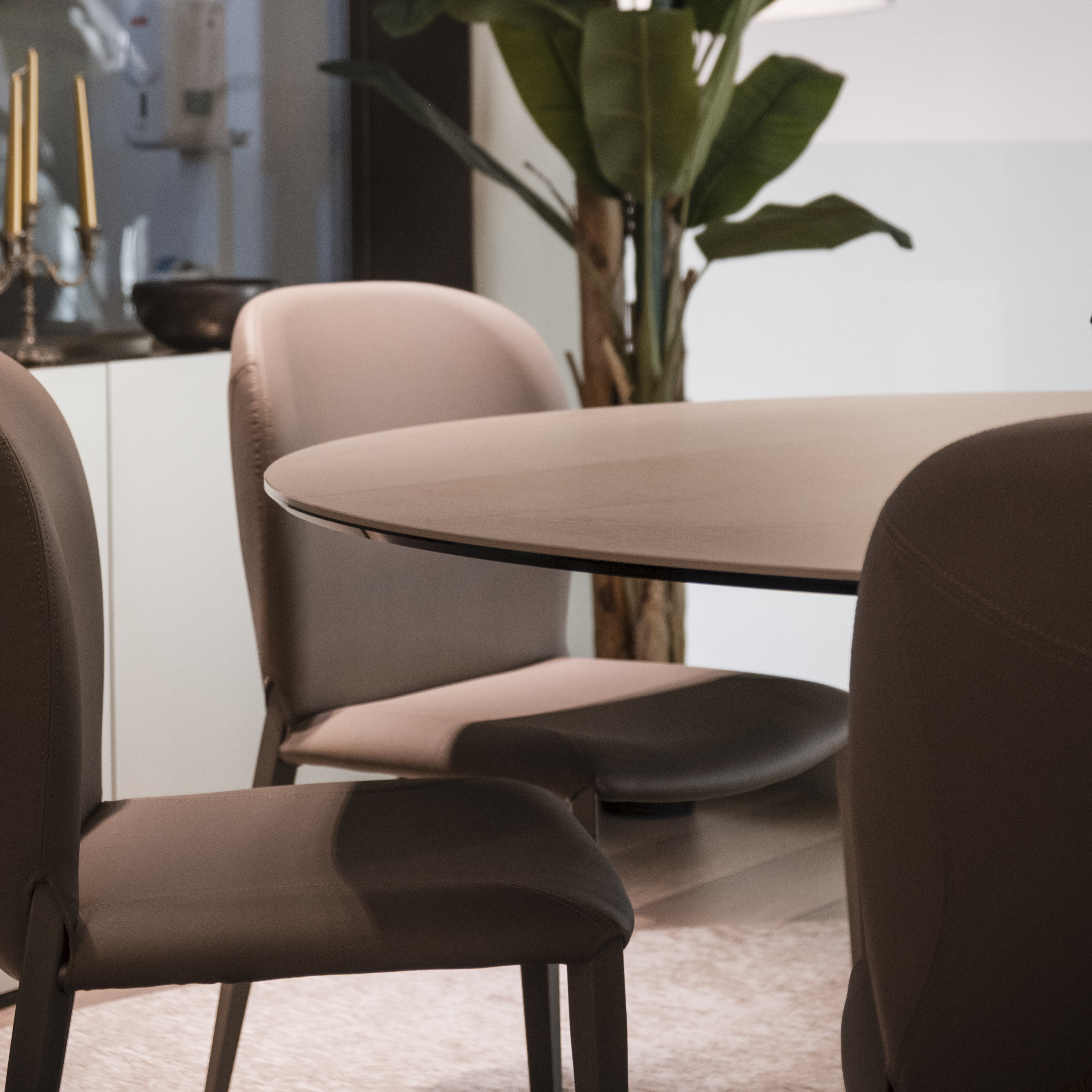 Showroom Cattelan 26